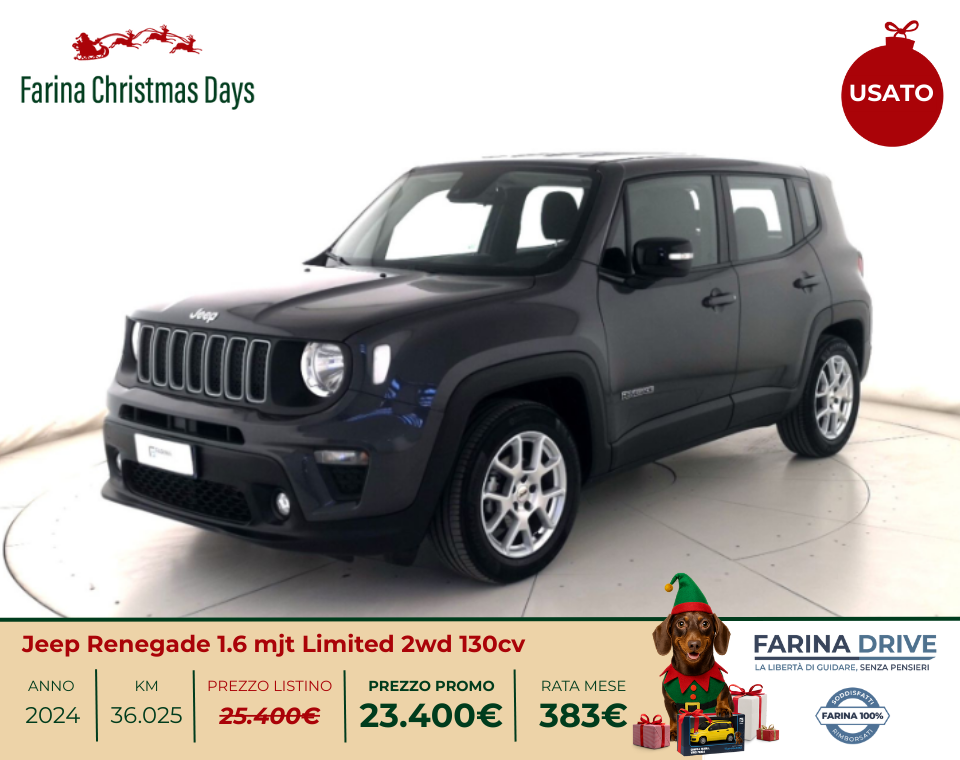 USATO - Jeep Renegade 1.6 mjt Limited 2wd 130cv